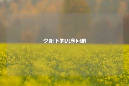 夕阳下的思念回响