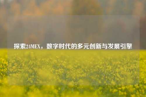 探索24MEX，数字时代的多元创新与发展引擎