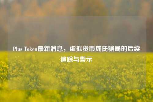 Plus Token最新消息，虚拟货币庞氏骗局的后续追踪与警示