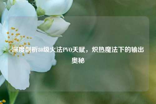 深度剖析80级火法PVO天赋，炽热魔法下的输出奥秘