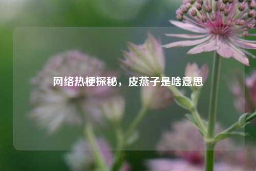 网络热梗探秘，皮燕子是啥意思