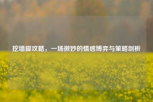 挖墙脚攻略，一场微妙的情感博弈与策略剖析
