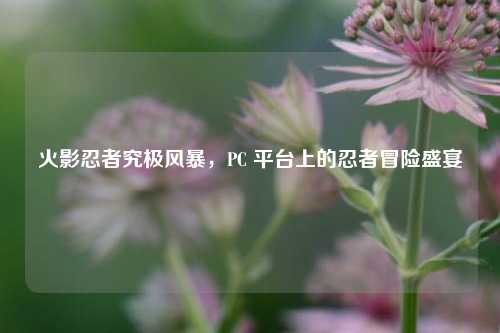 火影忍者究极风暴，PC 平台上的忍者冒险盛宴