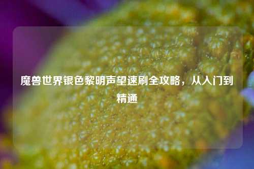 魔兽世界银色黎明声望速刷全攻略，从入门到精通