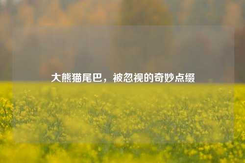 大熊猫尾巴，被忽视的奇妙点缀