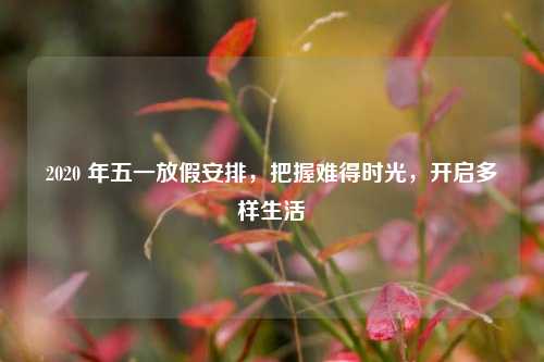 2020 年五一放假安排，把握难得时光，开启多样生活