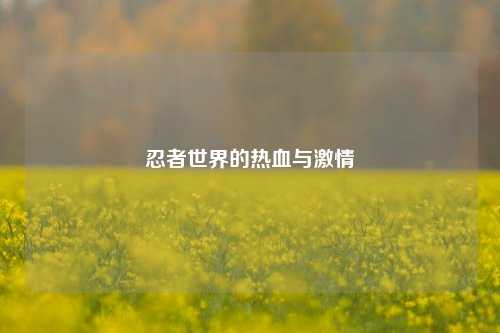 忍者世界的热血与激情