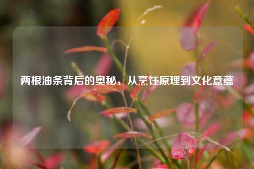 两根油条背后的奥秘，从烹饪原理到文化意蕴
