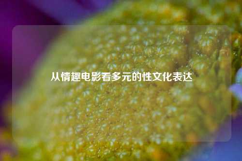 从情趣电影看多元的性文化表达
