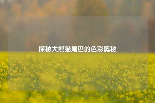 探秘大熊猫尾巴的色彩奥秘