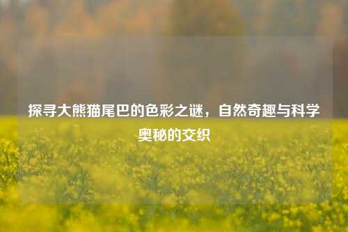 探寻大熊猫尾巴的色彩之谜，自然奇趣与科学奥秘的交织