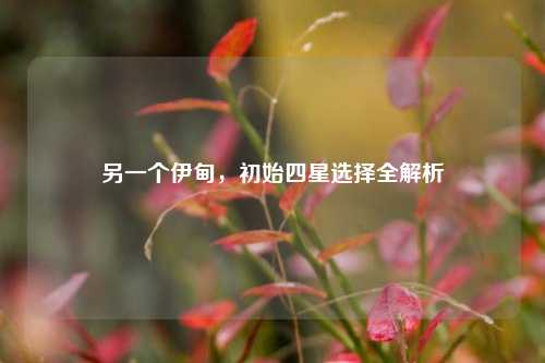 另一个伊甸，初始四星选择全解析