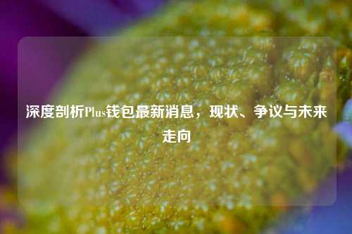 深度剖析Plus钱包最新消息，现状、争议与未来走向