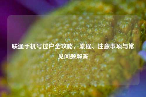 联通手机号过户全攻略，流程、注意事项与常见问题解答