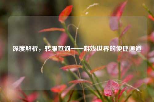 深度解析，转服查询——游戏世界的便捷通道