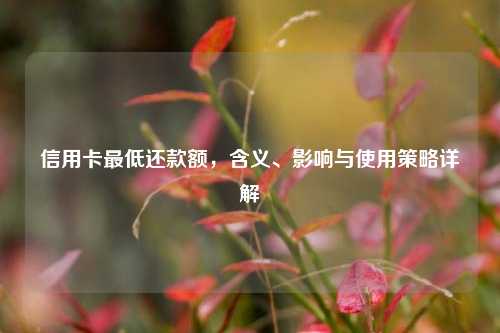 信用卡最低还款额，含义、影响与使用策略详解