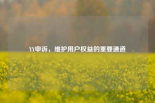 YY申诉，维护用户权益的重要通道