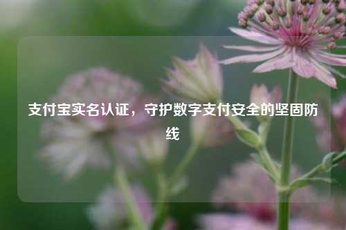 支付宝实名认证，守护数字支付安全的坚固防线
