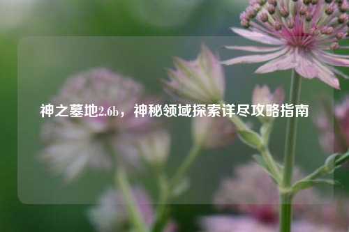 神之墓地2.6b，神秘领域探索详尽攻略指南