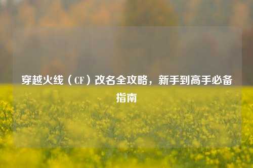 穿越火线（CF）改名全攻略，新手到高手必备指南