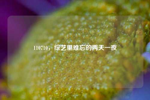 110710，综艺里难忘的两天一夜
