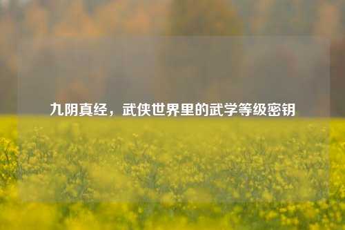 九阴真经，武侠世界里的武学等级密钥