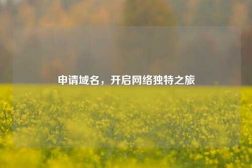申请域名，开启网络独特之旅