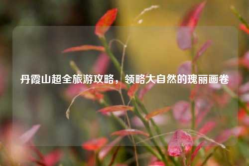 丹霞山超全旅游攻略，领略大自然的瑰丽画卷