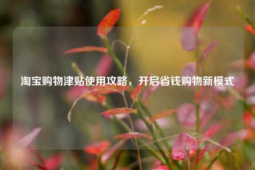 淘宝购物津贴使用攻略，开启省钱购物新模式