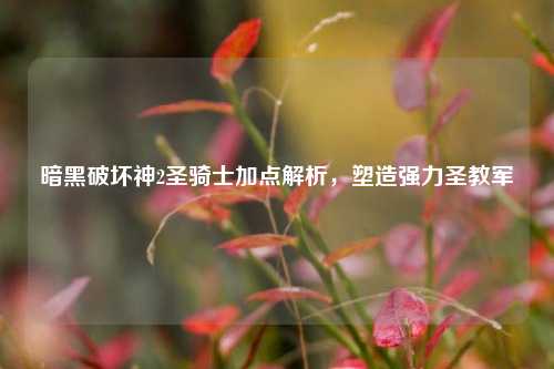暗黑破坏神2圣骑士加点解析，塑造强力圣教军