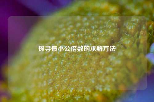 探寻最小公倍数的求解方法
