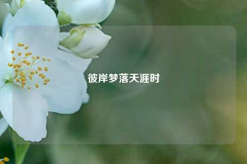 彼岸梦落天涯时