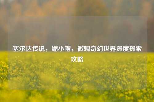 塞尔达传说，缩小帽，微观奇幻世界深度探索攻略