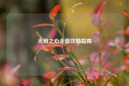 光明之心全面攻略指南