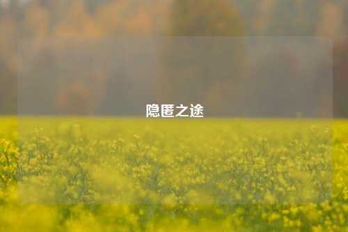 隐匿之途