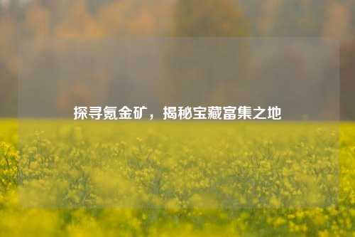 探寻氪金矿，揭秘宝藏富集之地