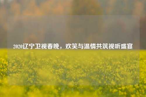2020辽宁卫视春晚，欢笑与温情共筑视听盛宴