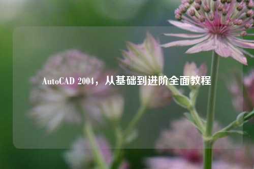 AutoCAD 2004，从基础到进阶全面教程