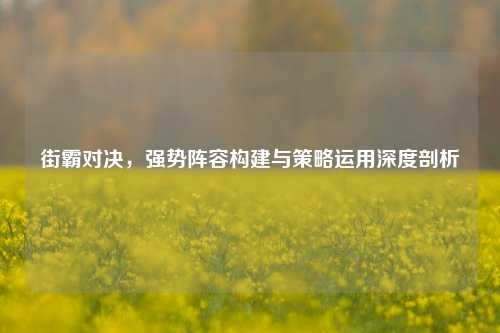 街霸对决，强势阵容构建与策略运用深度剖析