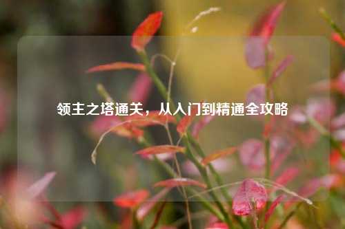 领主之塔通关，从入门到精通全攻略