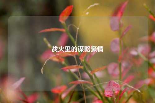 战火里的谋略豪情