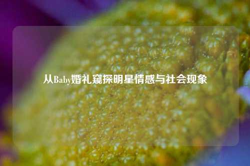 从Baby婚礼窥探明星情感与社会现象