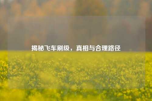 揭秘飞车刷级，真相与合理路径