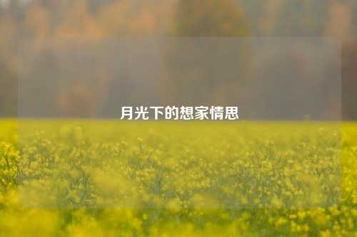 月光下的想家情思