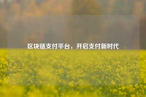 区块链支付平台，开启支付新时代