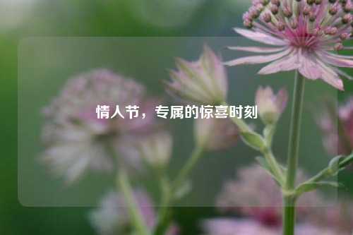 情人节，专属的惊喜时刻