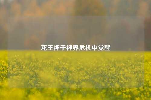龙王神于神界危机中觉醒