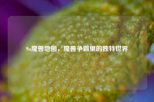 9u魔兽地图，魔兽争霸里的独特世界
