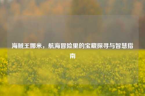 海贼王娜米，航海冒险里的宝藏探寻与智慧指南