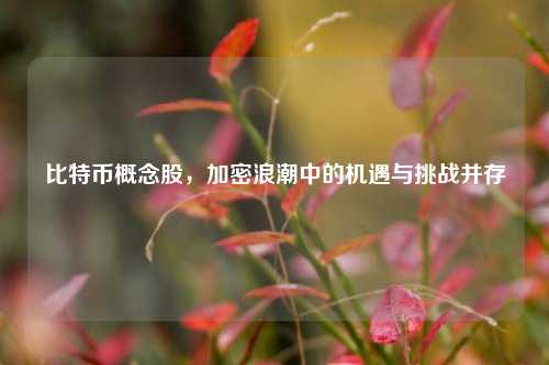 比特币概念股，加密浪潮中的机遇与挑战并存
